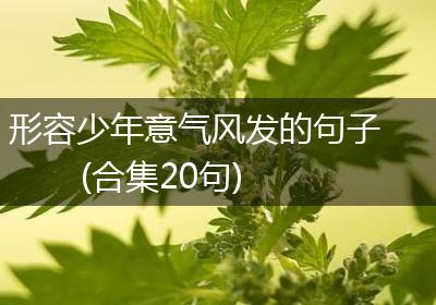 形容少年意气风发的句子(合集20句)