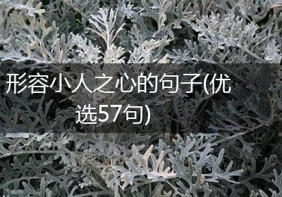 形容小人之心的句子(优选57句)
