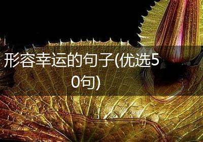 形容幸运的句子(优选50句)