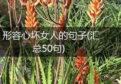 形容心坏女人的句子(汇总50句)