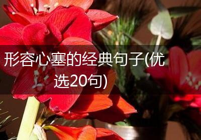 形容心塞的经典句子(优选20句)