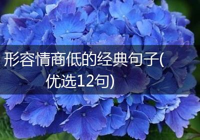 形容情商低的经典句子(优选12句)
