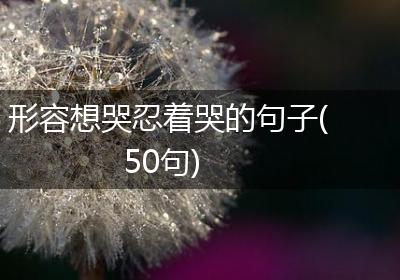 形容想哭忍着哭的句子(50句)