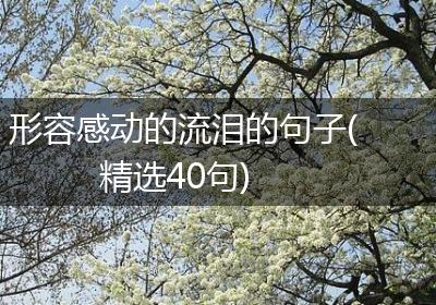 形容感动的流泪的句子(精选40句)