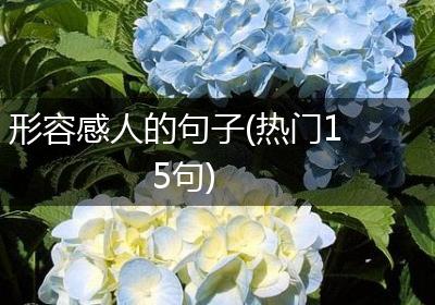 形容感人的句子(热门15句)