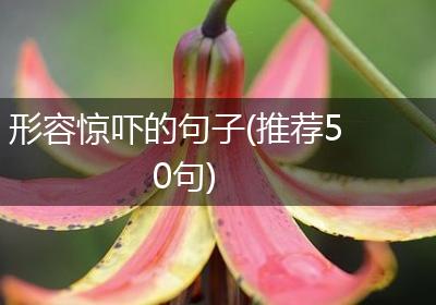 形容惊吓的句子(推荐50句)