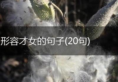 形容才女的句子(20句)