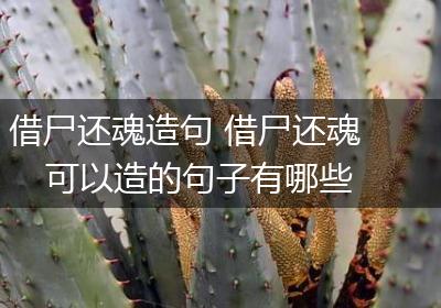 借尸还魂造句 借尸还魂可以造的句子有哪些