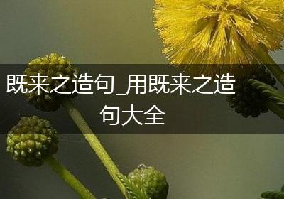 既来之造句_用既来之造句大全