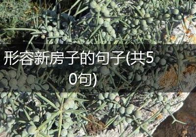 形容新房子的句子(共50句)