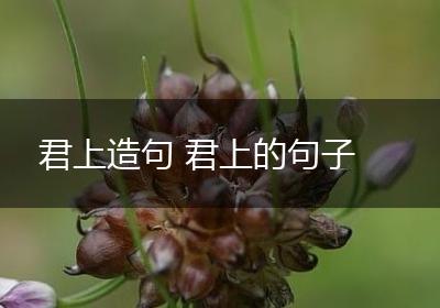 君上造句 君上的句子