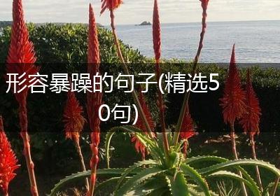 形容暴躁的句子(精选50句)