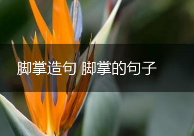 脚掌造句 脚掌的句子
