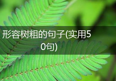 形容树粗的句子(实用50句)