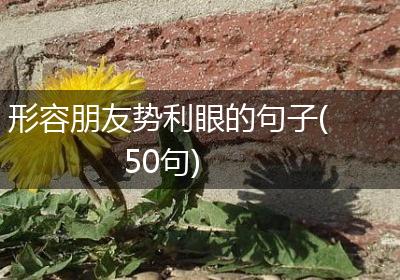 形容朋友势利眼的句子(50句)