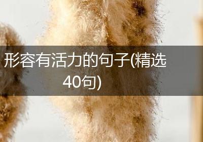 形容有活力的句子(精选40句)