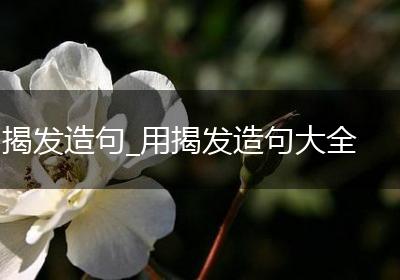 揭发造句_用揭发造句大全