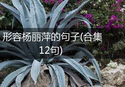 形容杨丽萍的句子(合集12句)