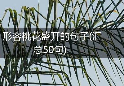形容桃花盛开的句子(汇总50句)
