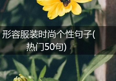 形容服装时尚个性句子(热门50句)