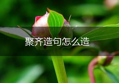 聚齐造句怎么造