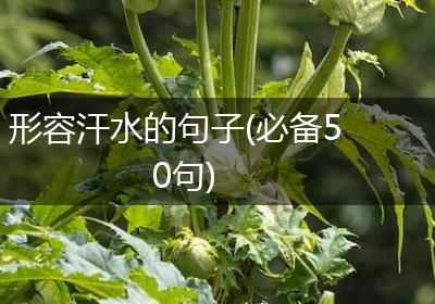 形容汗水的句子(必备50句)