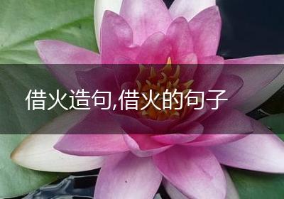 借火造句,借火的句子