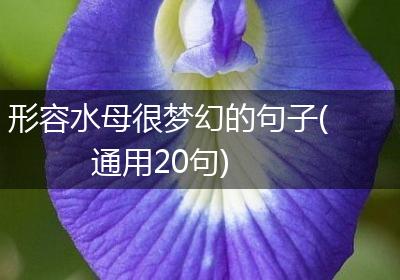 形容水母很梦幻的句子(通用20句)