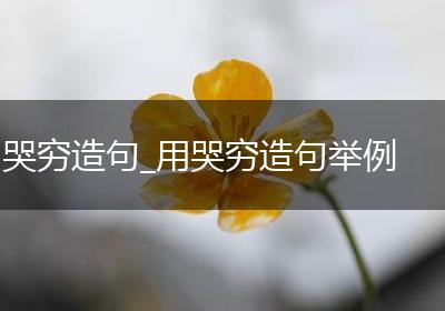 哭穷造句_用哭穷造句举例