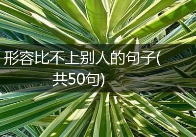 形容比不上别人的句子(共50句)