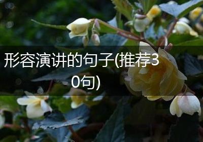 形容演讲的句子(推荐30句)