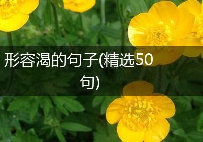 形容渴的句子(精选50句)