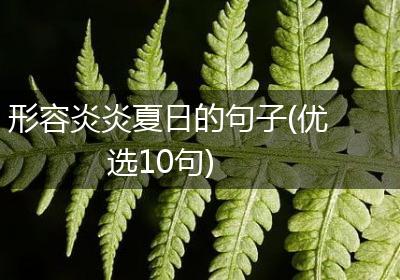 形容炎炎夏日的句子(优选10句)