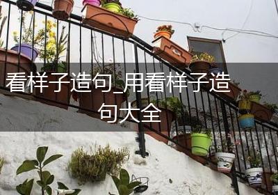 看样子造句_用看样子造句大全