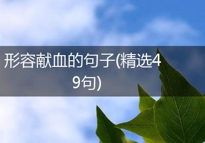 形容献血的句子(精选49句)
