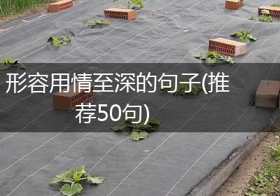 形容用情至深的句子(推荐50句)
