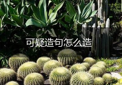可疑造句怎么造