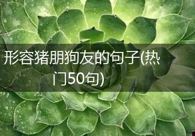形容猪朋狗友的句子(热门50句)