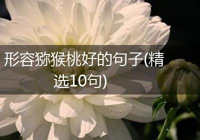 形容猕猴桃好的句子(精选10句)