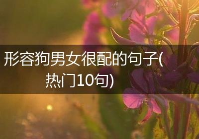 形容狗男女很配的句子(热门10句)