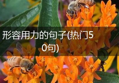 形容用力的句子(热门50句)