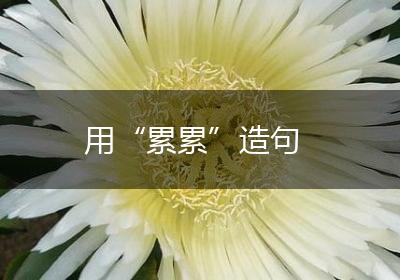 用“累累”造句