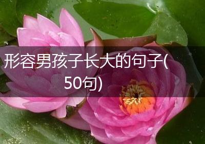 形容男孩子长大的句子(50句)