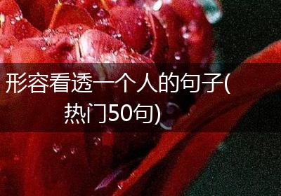 形容看透一个人的句子(热门50句)