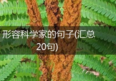 形容科学家的句子(汇总20句)