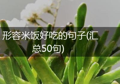形容米饭好吃的句子(汇总50句)