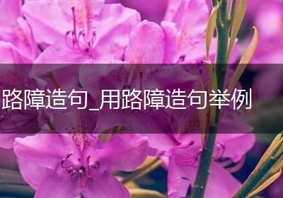 路障造句_用路障造句举例