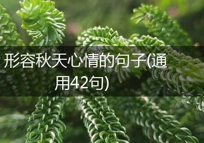 形容秋天心情的句子(通用42句)