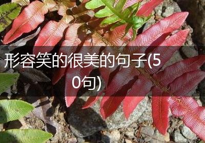 形容笑的很美的句子(50句)