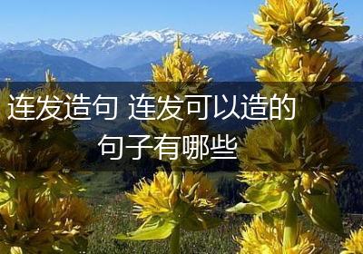 连发造句 连发可以造的句子有哪些